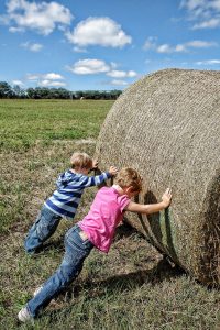 Summer activity farming holidays